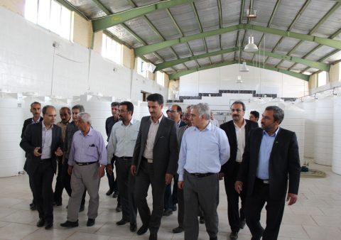 بازدید مهندس کشاورز معاون محترم وزیر جهاد کشاورزی در امور زراعت
